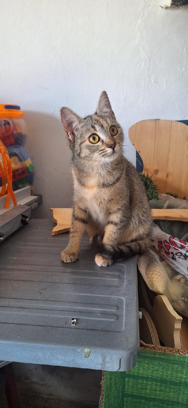 Sorelline Di 4 Mesi Dolci E Coccolone